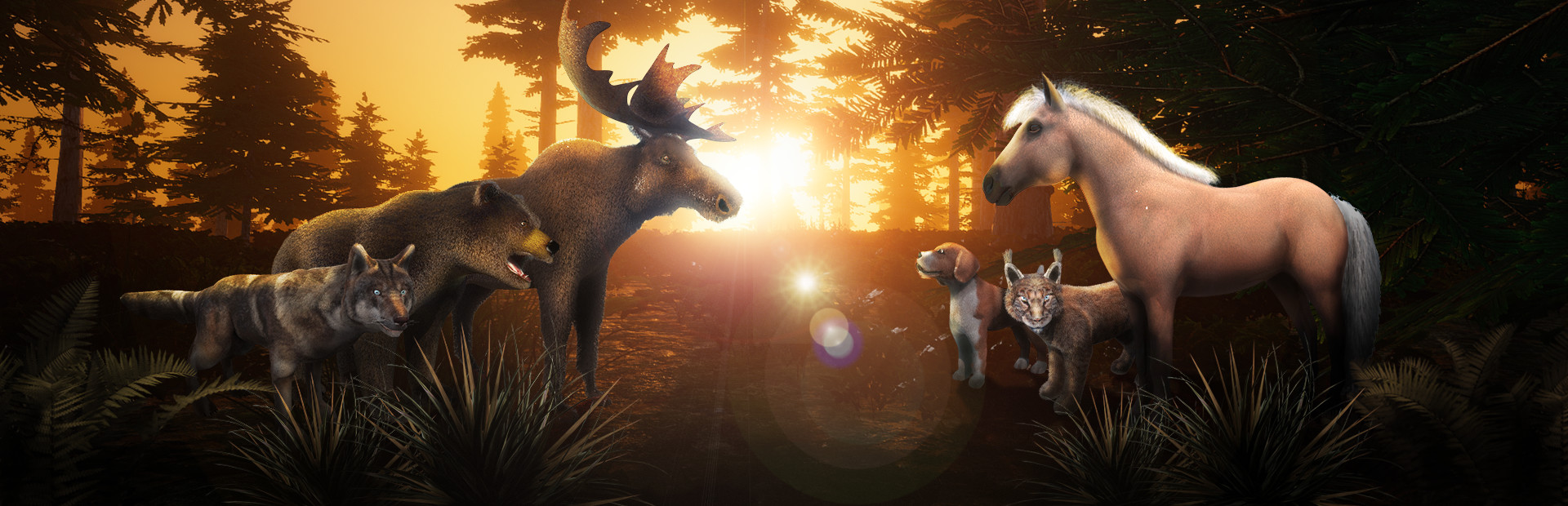 Zoo World VR