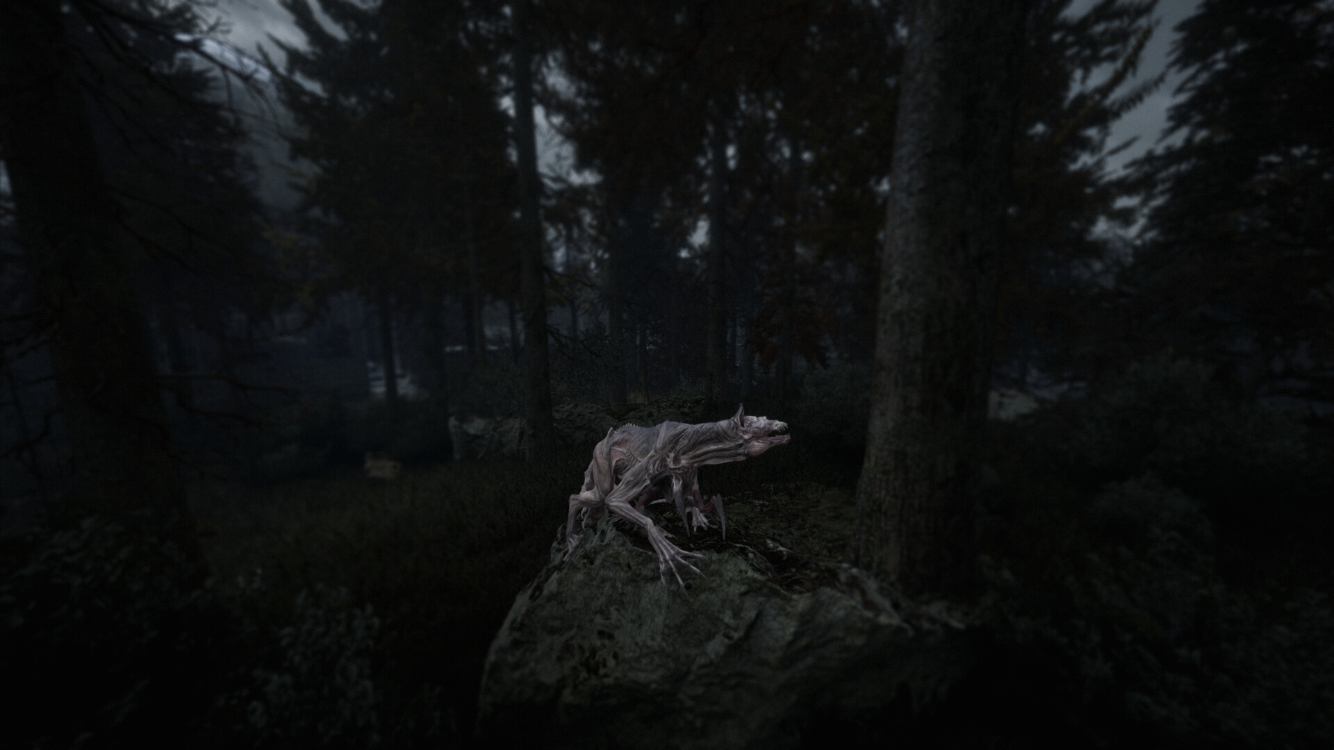 Screenshot #9 for Beautiful Light