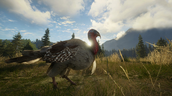 screenshot3