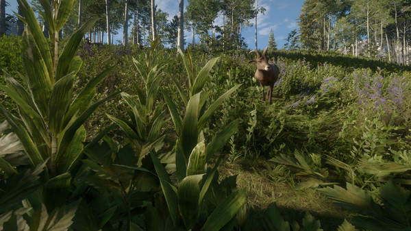 screenshot8