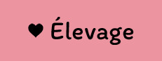 Élevage