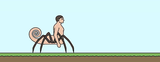 Husbandry video 1