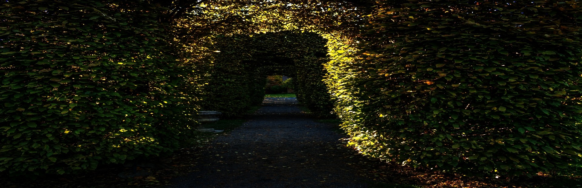 Deadly Maze
