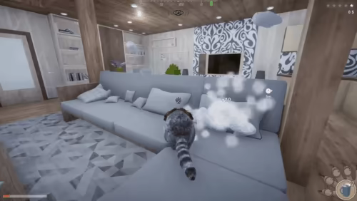 Wanted Raccoon video 12
