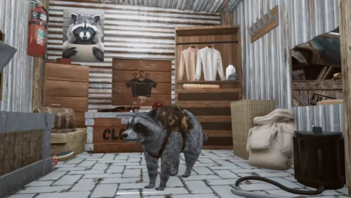 Wanted Raccoon video 9
