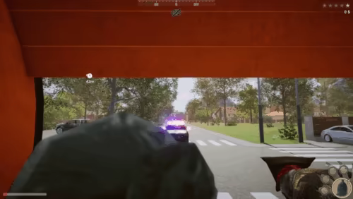 Wanted Raccoon video 10