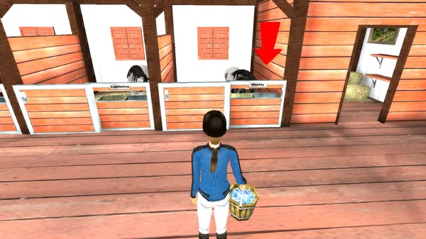 Screenshot z Rider's World: I Want To Ride!