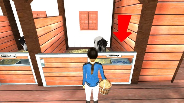 Screenshot z Rider's World: I Want To Ride!