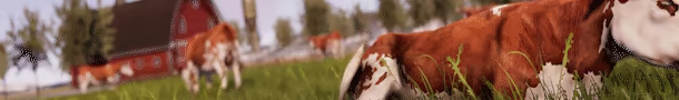 Real Farm – Gold Edition video 2