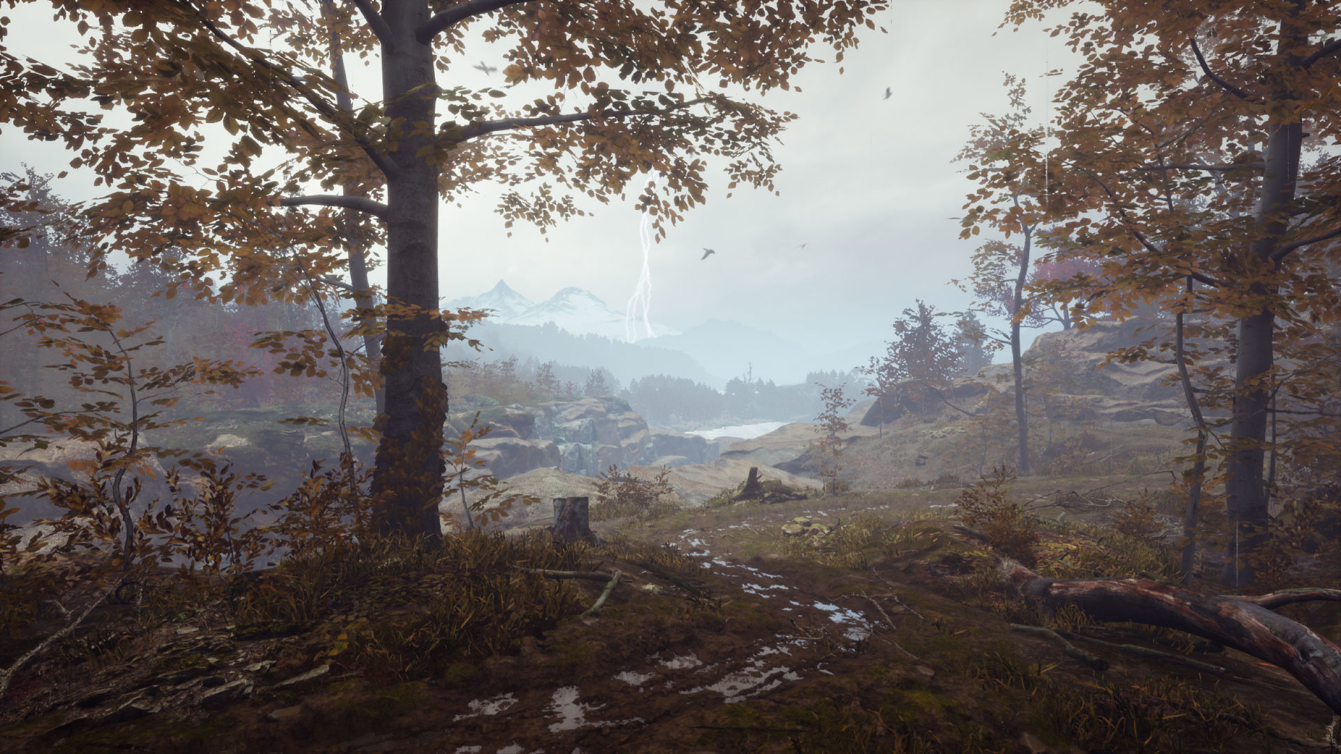 Pluviophile Featured Screenshot #1