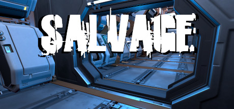 Salvage cover art