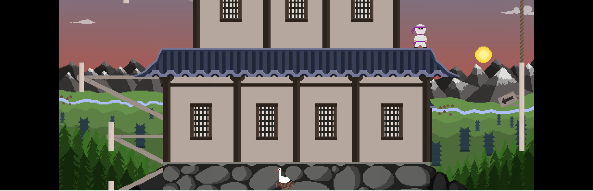 Wall Ninja