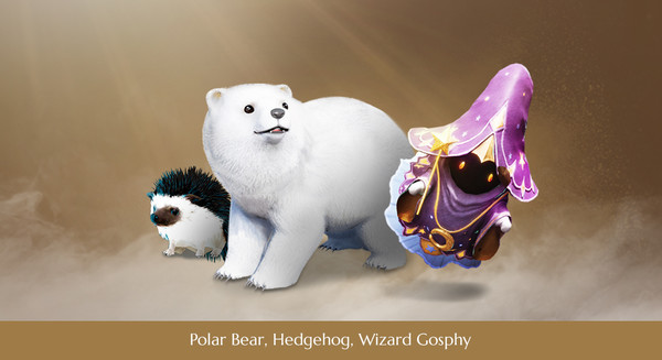 Black Desert Online - Deluxe Package