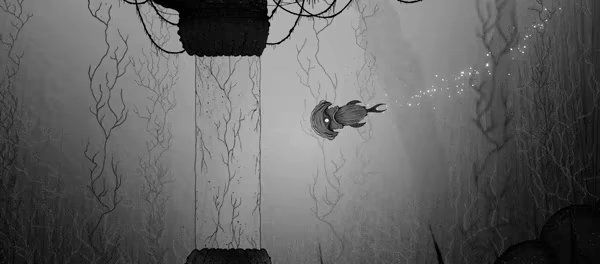 SILT video 4