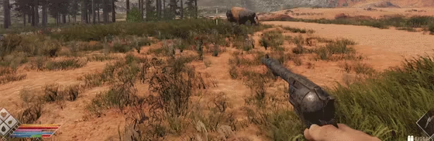 Wild West Dynasty video 4