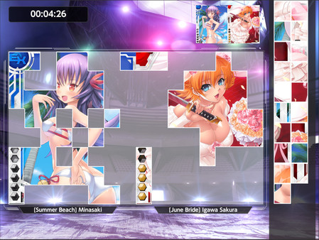 Taimanin Collection: Battle Arena screenshot