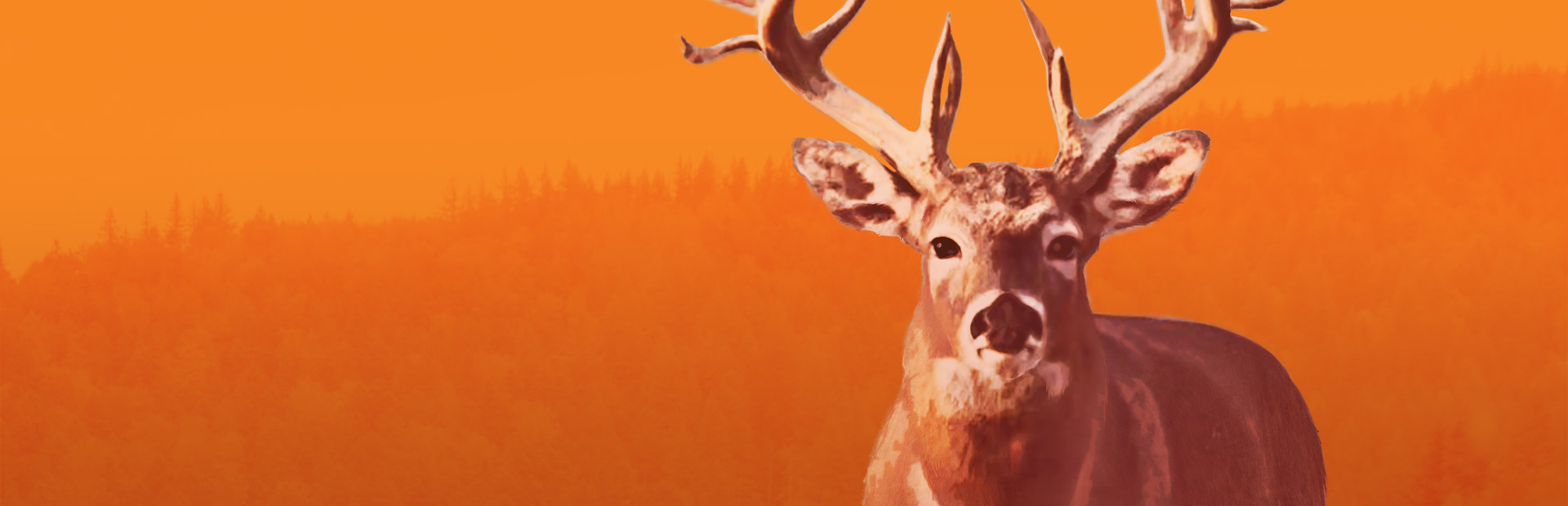 Hunting Unlimited 3