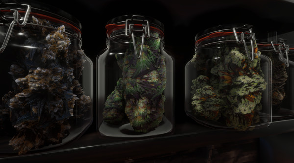 Скриншот 6 из игры Cannabis Farmer Strain Master