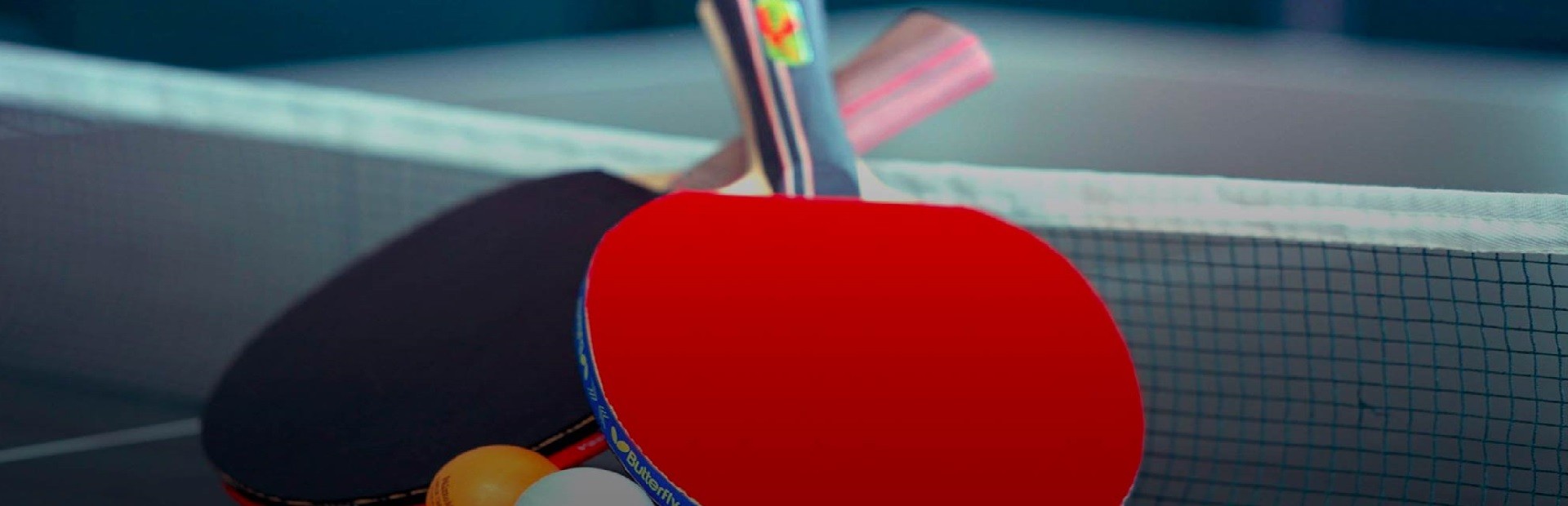 Pro Table Tennis VR
