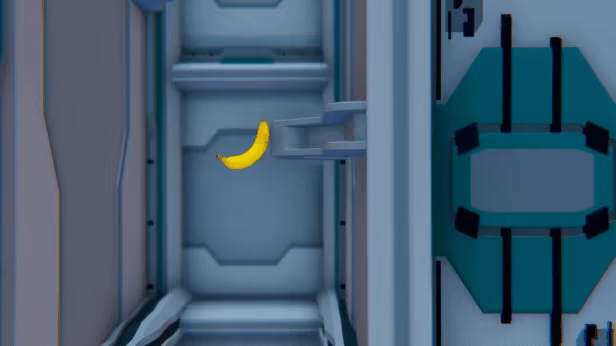 International Space Banana video 4