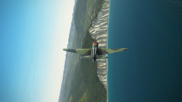 IL-2 Sturmovik: Yak-9 Series 1 Collector Plane (DLC)