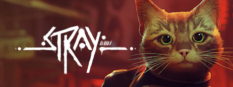 Stray cover art