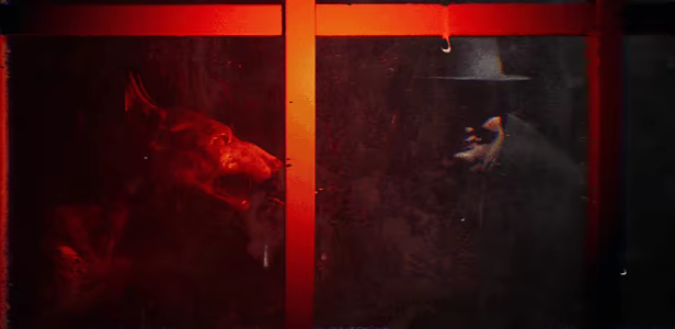 FREAKOUT video 4