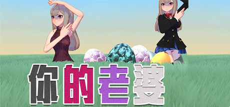 你的老婆 cover art