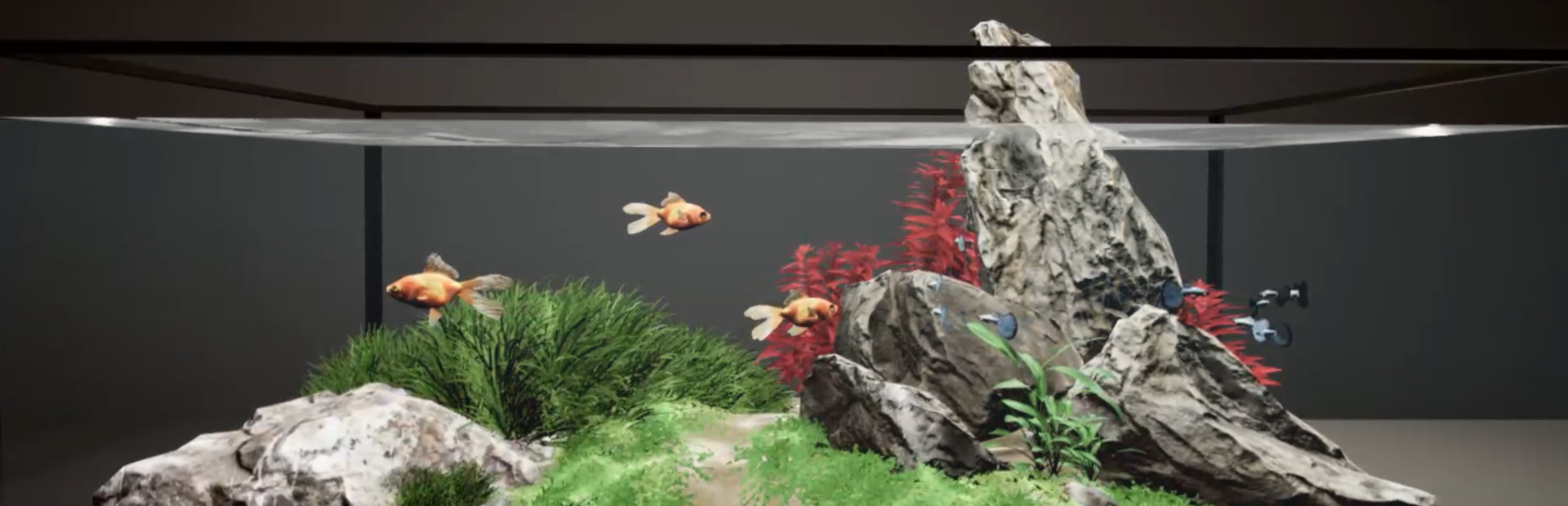 《水族箱设计师(Aquarium Designer)》Build20230630