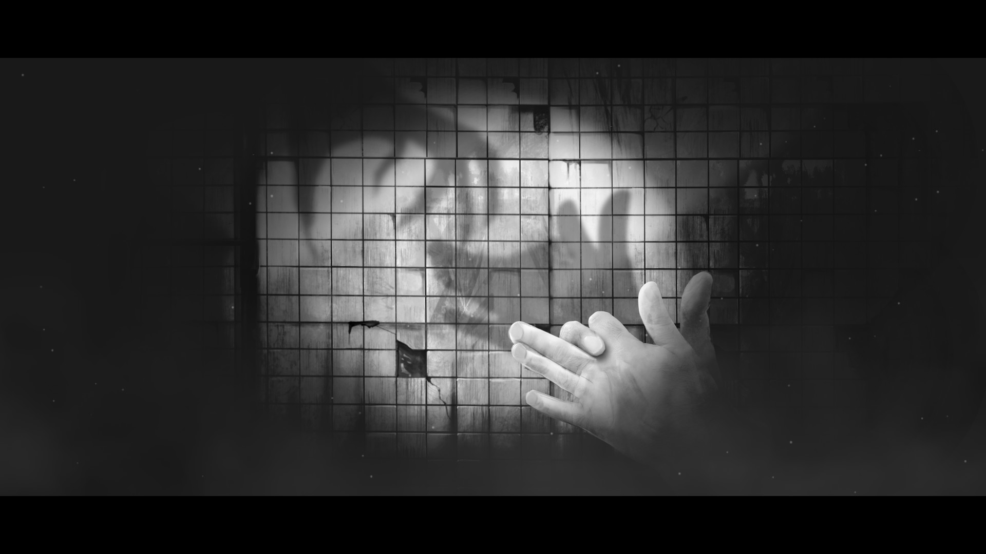 Hand Shadow screenshot #3