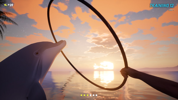 Dolphin Trainer VR screenshot 7
