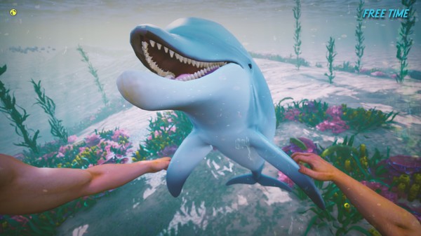 Dolphin Trainer VR screenshot 5