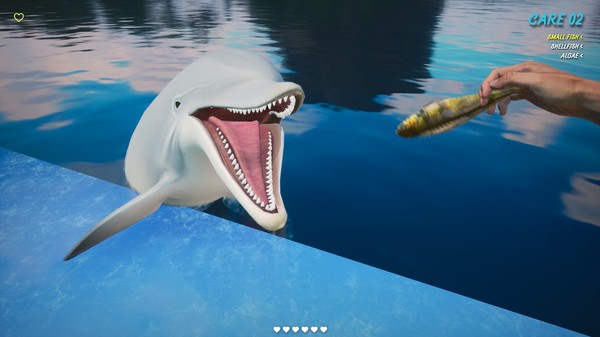Screenshot 3 of Dolphin Trainer VR - more gameplay footage