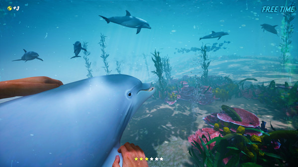 Screenshot of Dolphin Trainer VR gameplay showing in-action mechanics