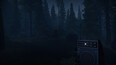 Screenshot #11