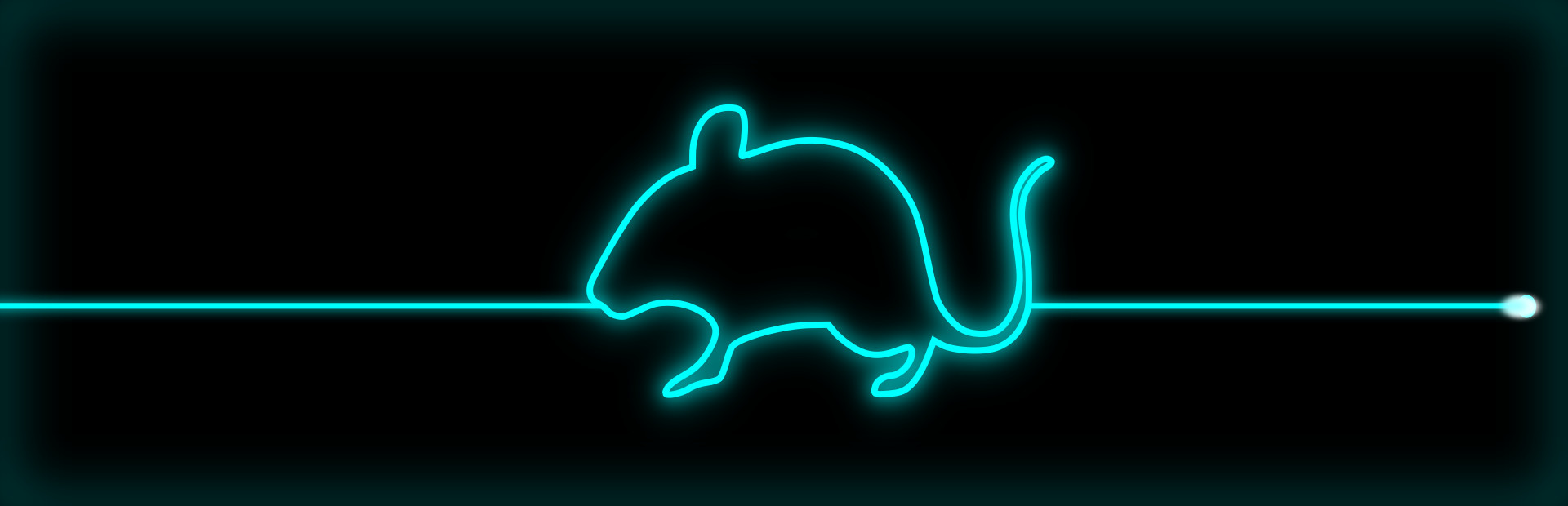 Whiskers & Tail