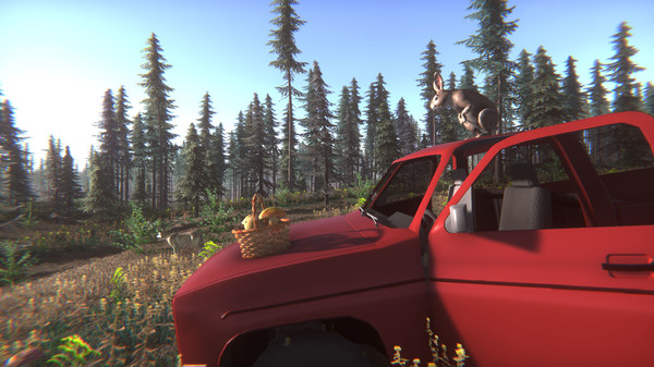 Screenshot z Mushroom Challenge