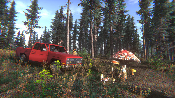 Screenshot z Mushroom Challenge