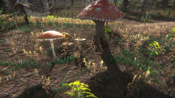 Screenshot z Mushroom Challenge
