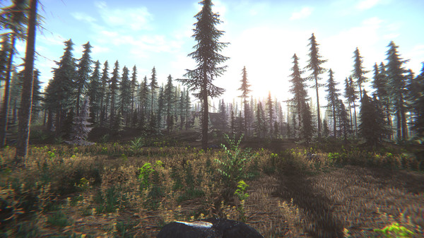 Screenshot z Mushroom Challenge