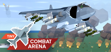 Tiny Combat Arena Cover Image