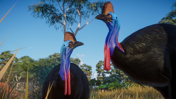 Planet Zoo: Australia Pack.