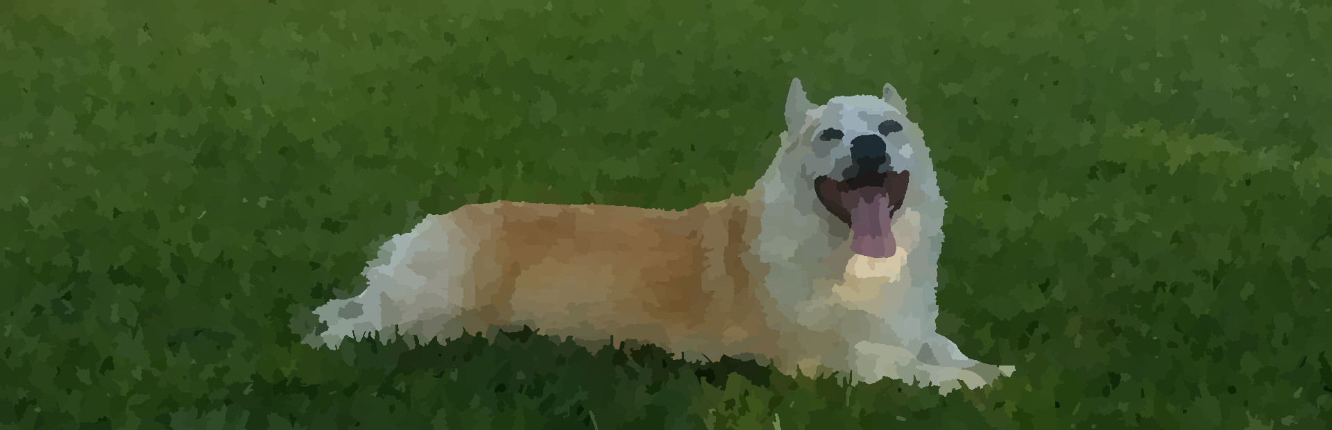 CORGIX
