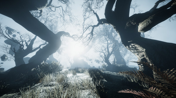 Ravensword: Undaunted screenshot 3