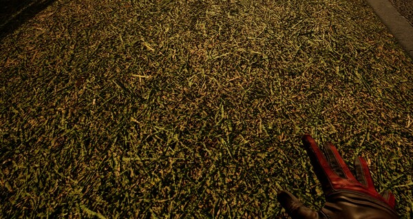Touch Grass Together screenshot 6