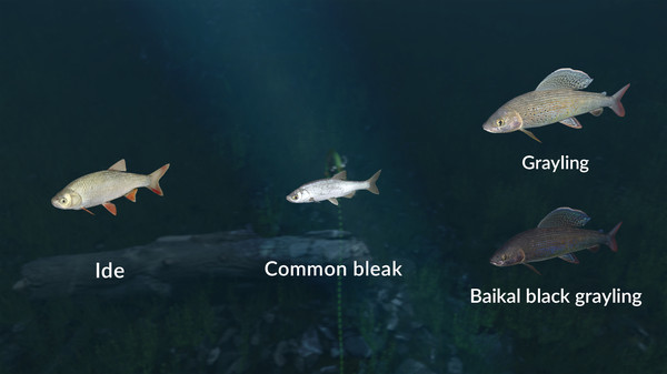 Ultimate Fishing® Simulator - New Fish Species