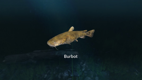 Screenshot z Ultimate Fishing® Simulator - New Fish Species