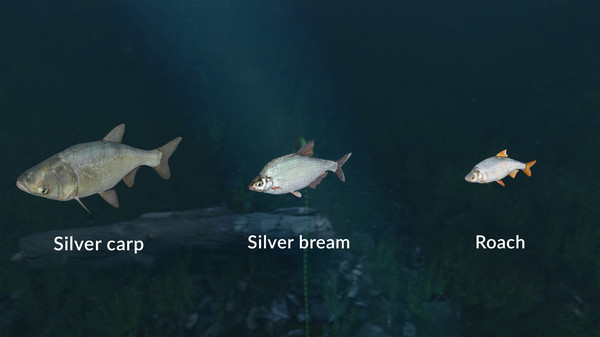 Ultimate Fishing® Simulator - New Fish Species
