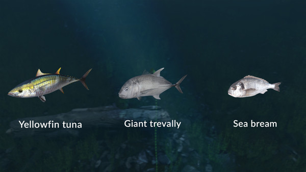 Ultimate Fishing® Simulator - New Fish Species