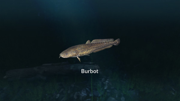 Screenshot z Ultimate Fishing® Simulator - New Fish Species